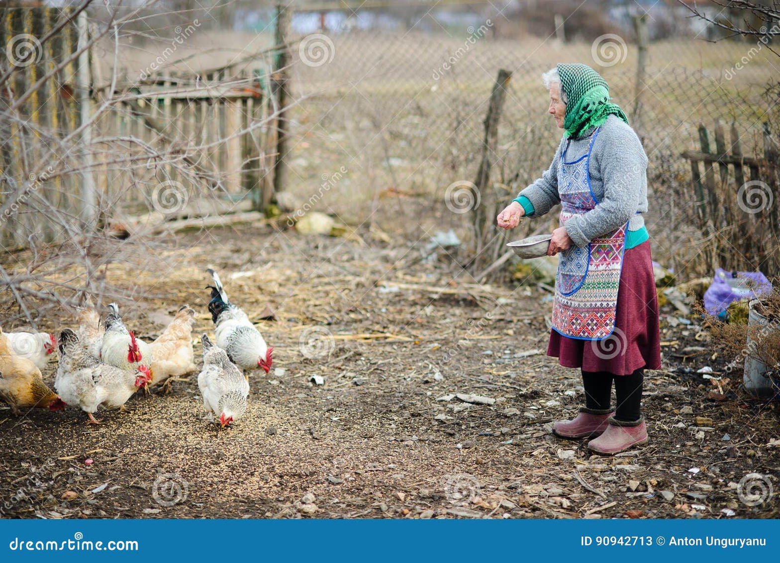 La Tía María alimentando a sus gallinas en Valvaler